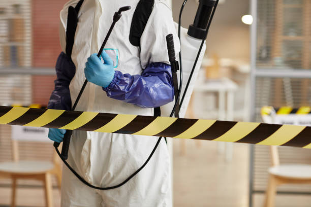 Professional Sewage Cleanup technician working in Dover, NJ